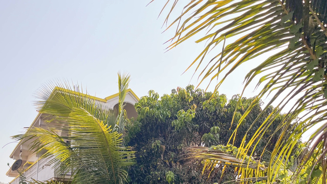 Photo of Outdoor in Ashvem