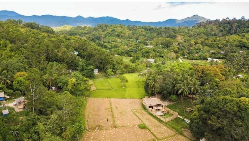 Photo of Outdoor in El Nido