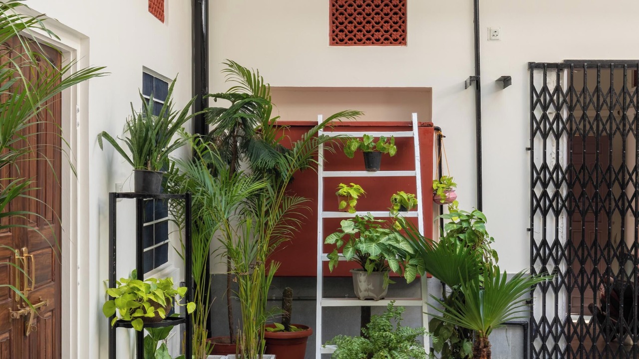 Photo of Outdoor in Pink City