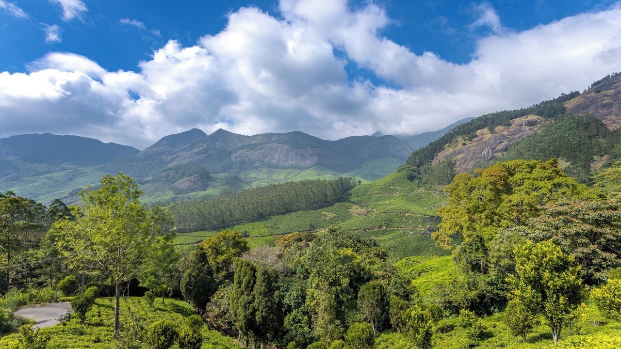 Photo of Outdoor in Suryanelli