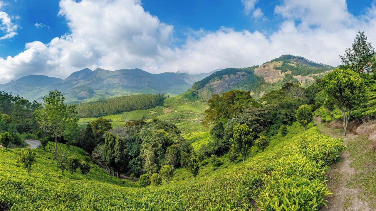 Photo of Outdoor in Suryanelli