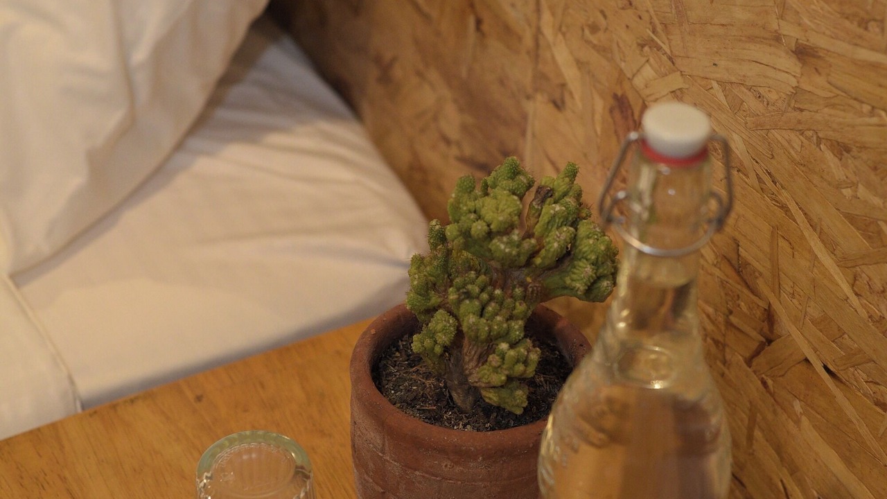 Photo of Bedroom in San Felipe