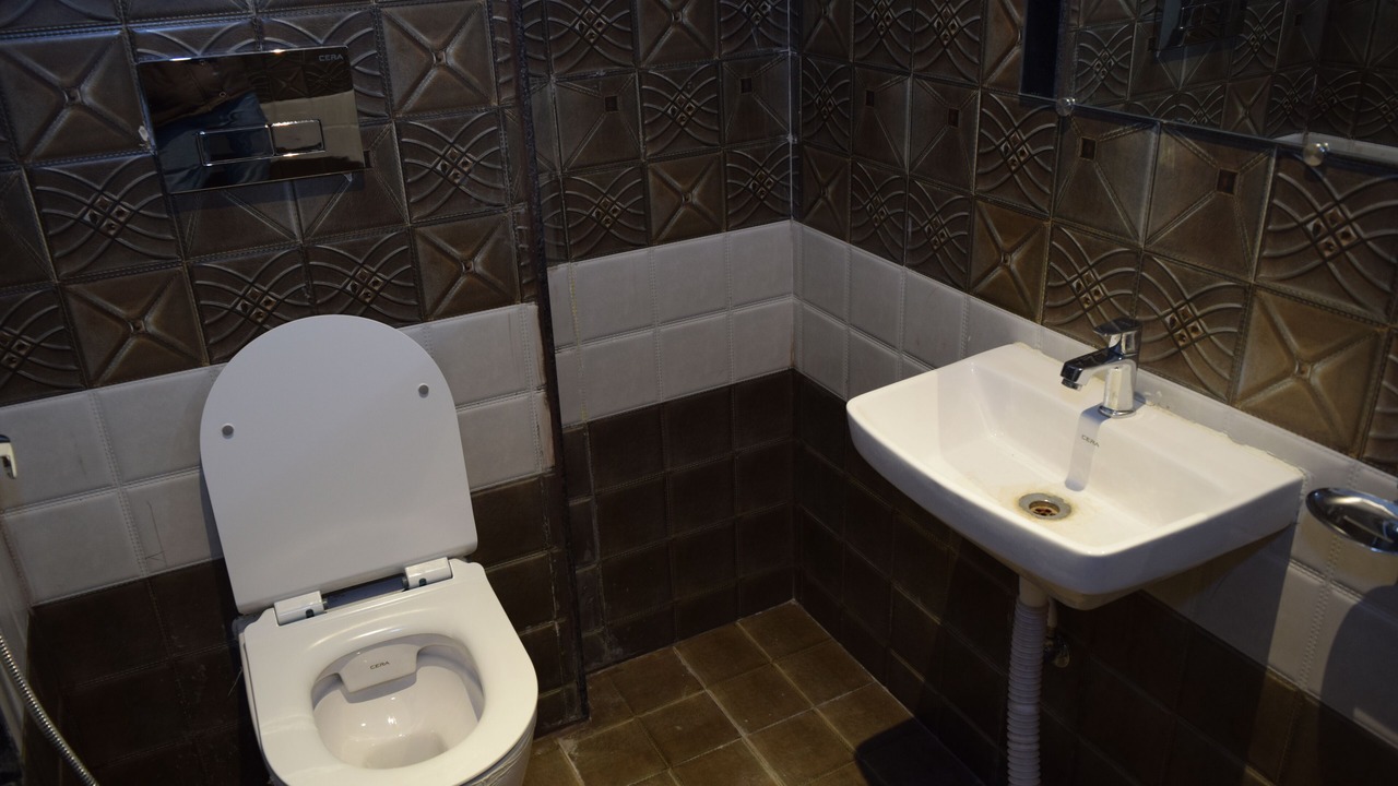 Photo of Bathroom in Udaipur