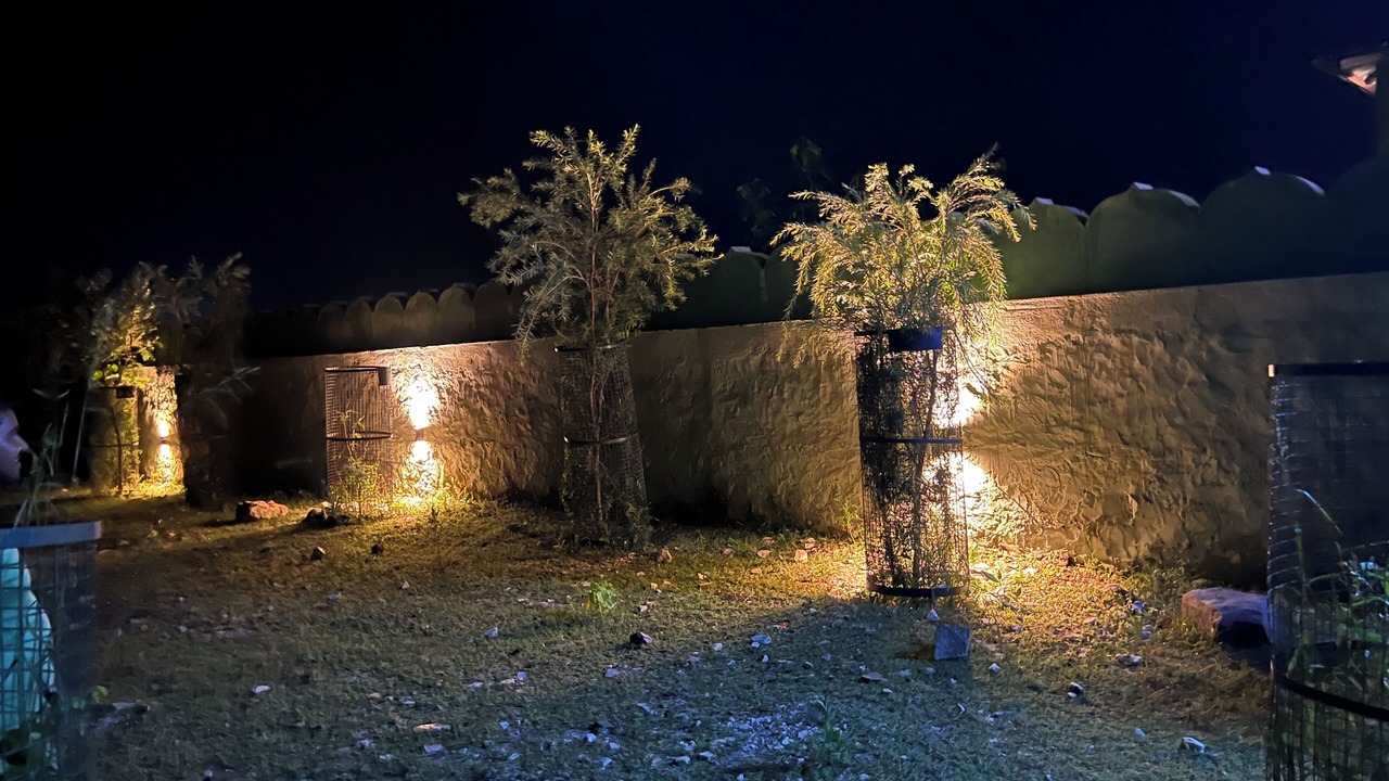 Photo of Outdoor in Sariska