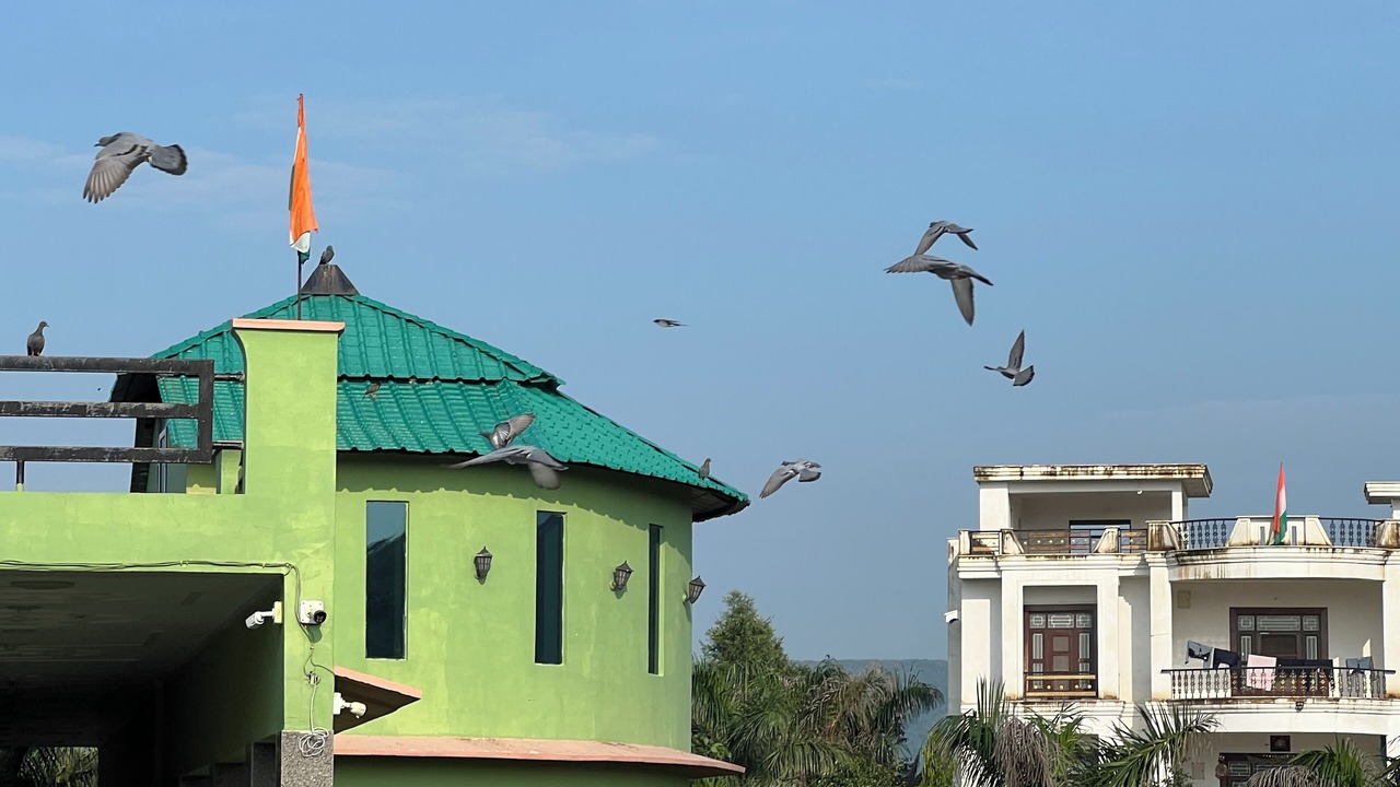 Photo of Outdoor in Sariska
