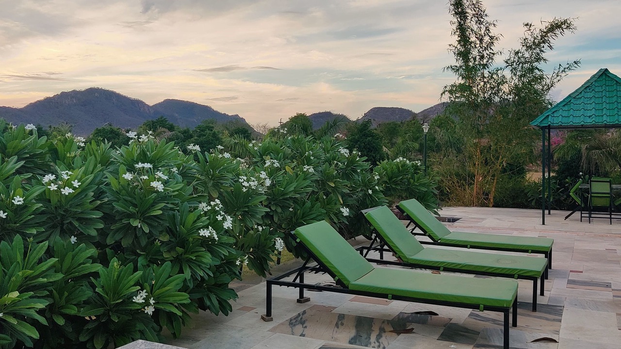 Photo of Outdoor in Sariska