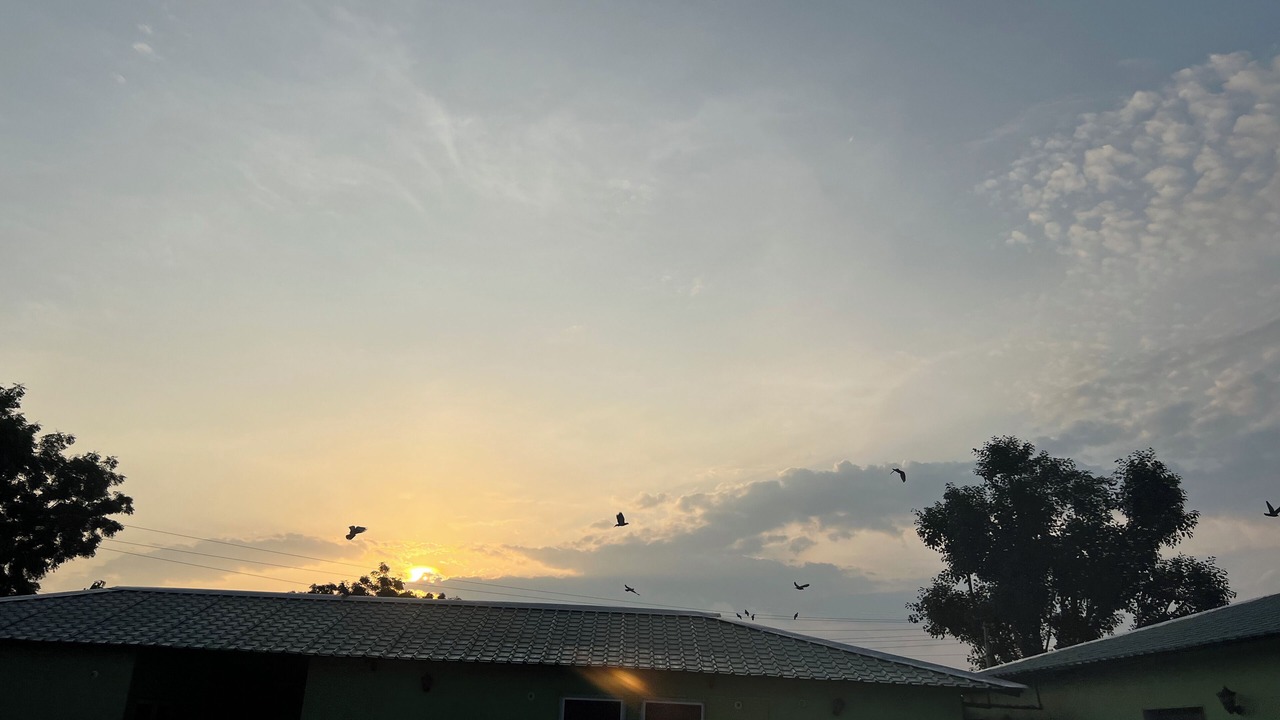 Photo of Outdoor in Sariska