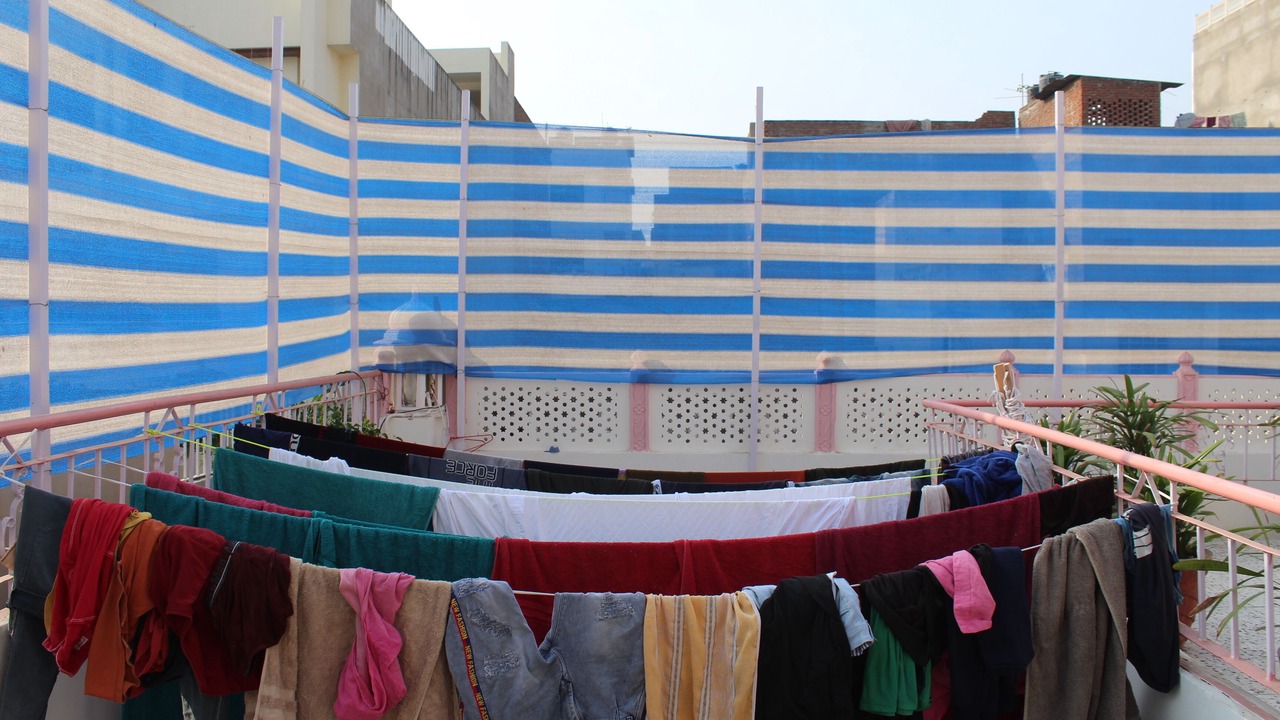 Photo of Others in Pink City