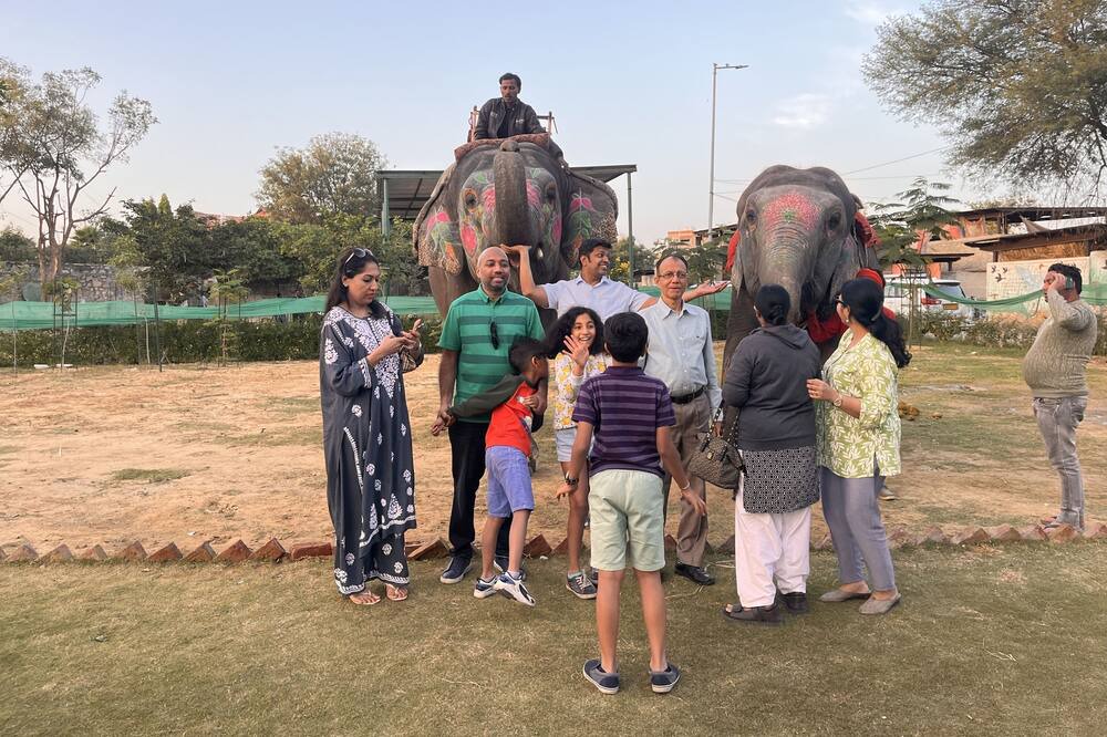 Photo of Others in Pink City