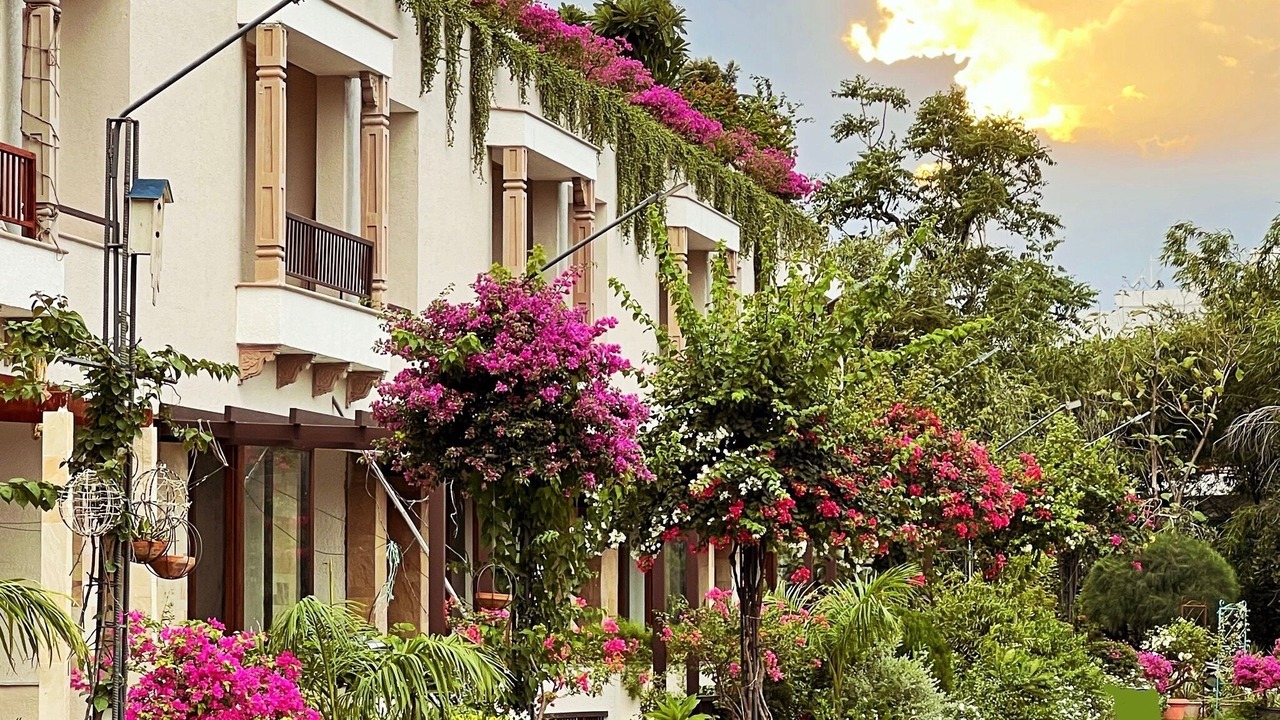 Photo of Outdoor in Sanganer