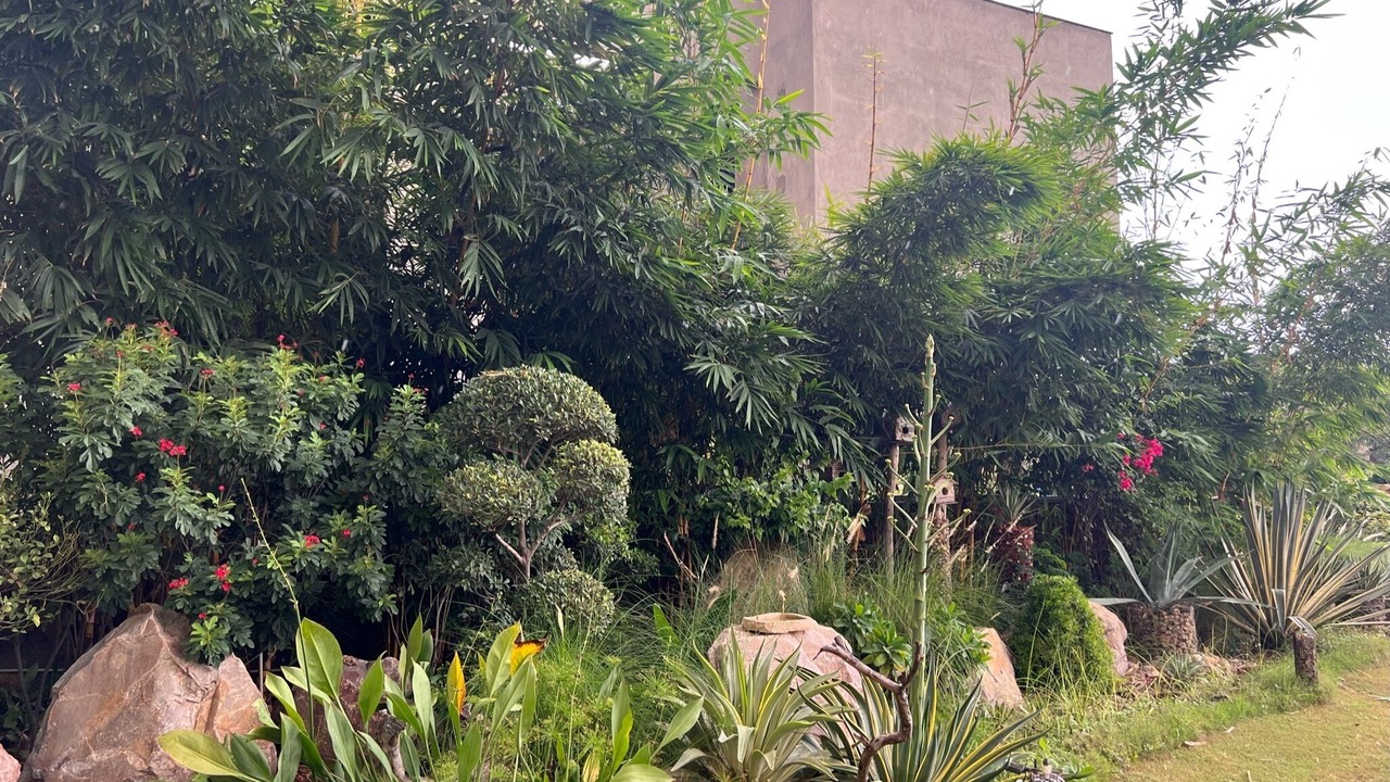 Photo of Outdoor in Sanganer