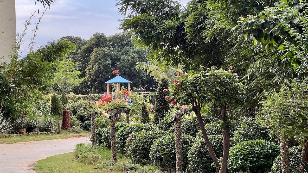 Photo of Outdoor in Sanganer