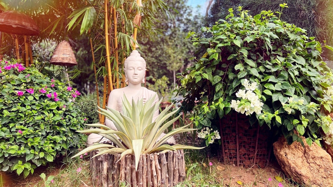 Photo of Outdoor in Sanganer