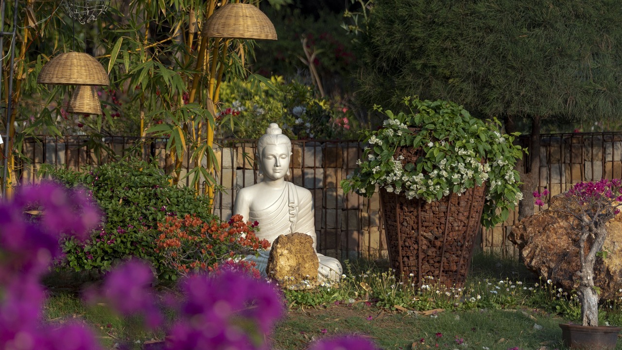 Photo of Outdoor in Sanganer