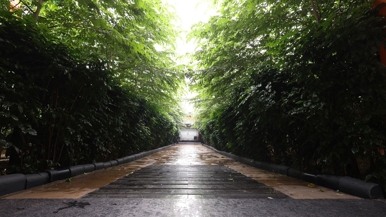 Photo of Outdoor in Panposh