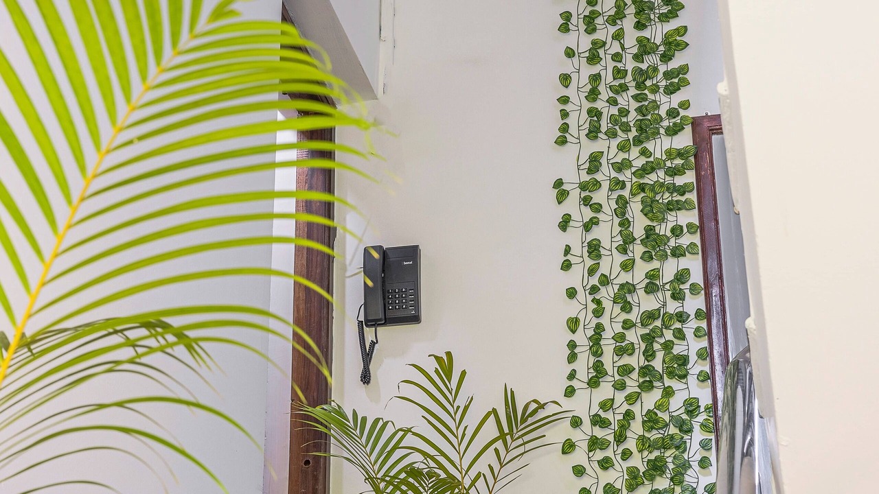 Photo of Outdoor in Majorda