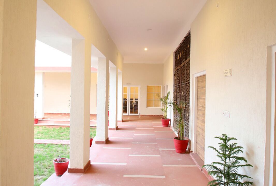 Photo of Outdoor in Sariska