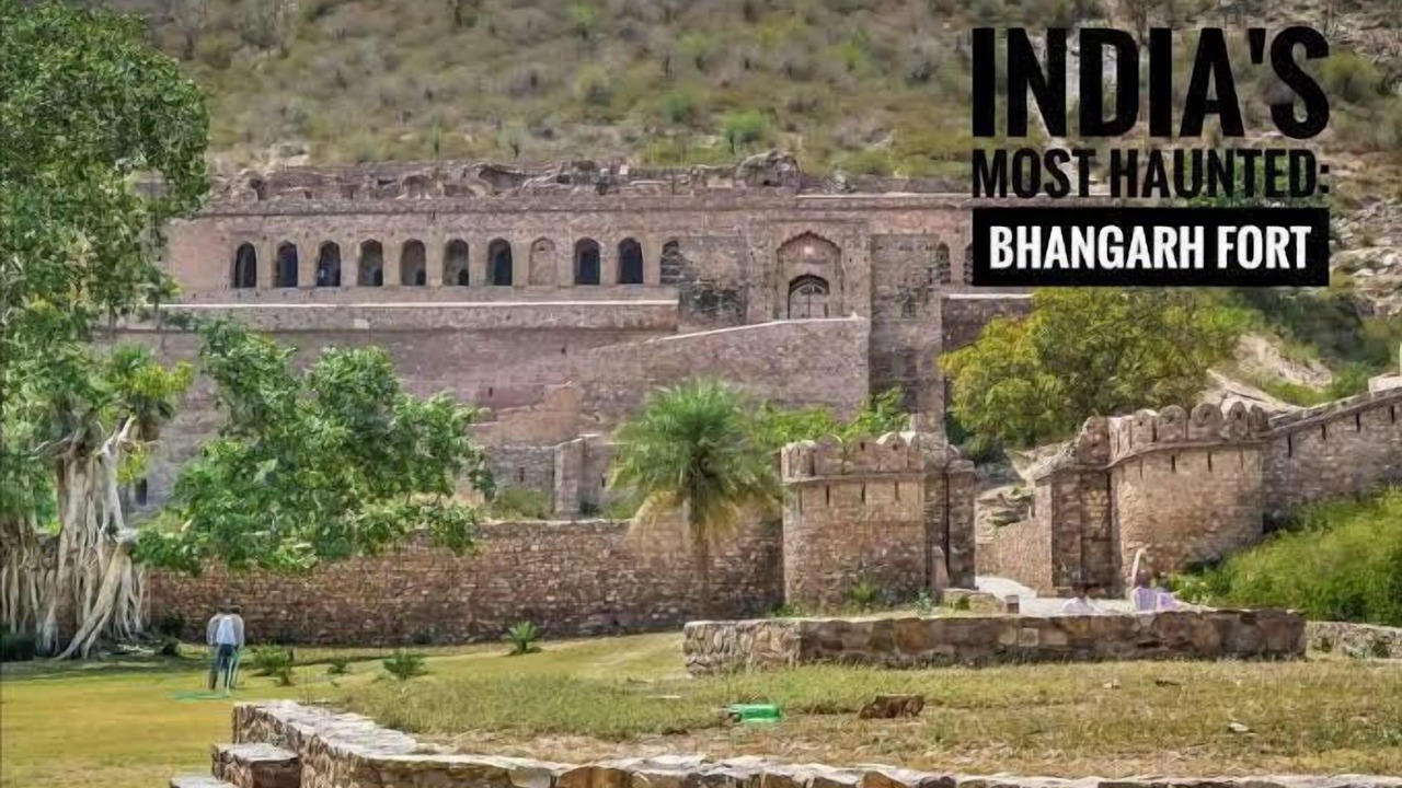 Photo of Others in Sariska