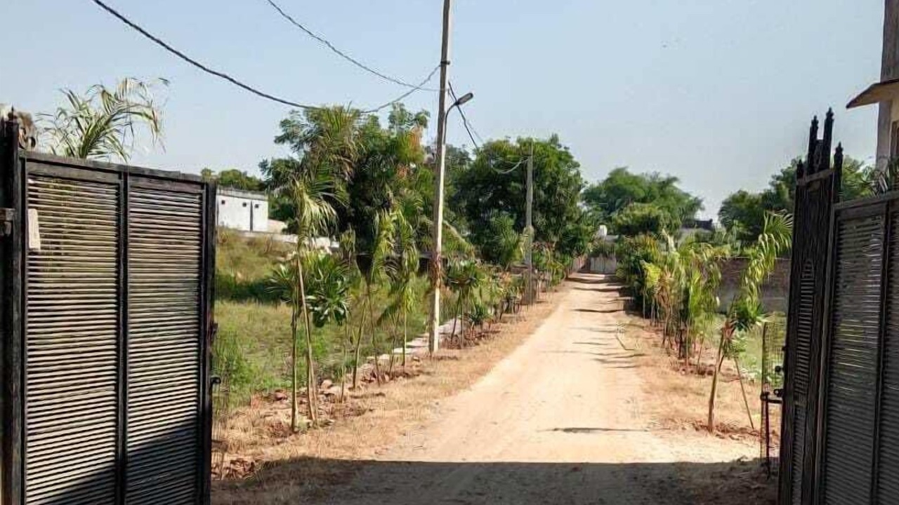 Photo of Outdoor in Sariska