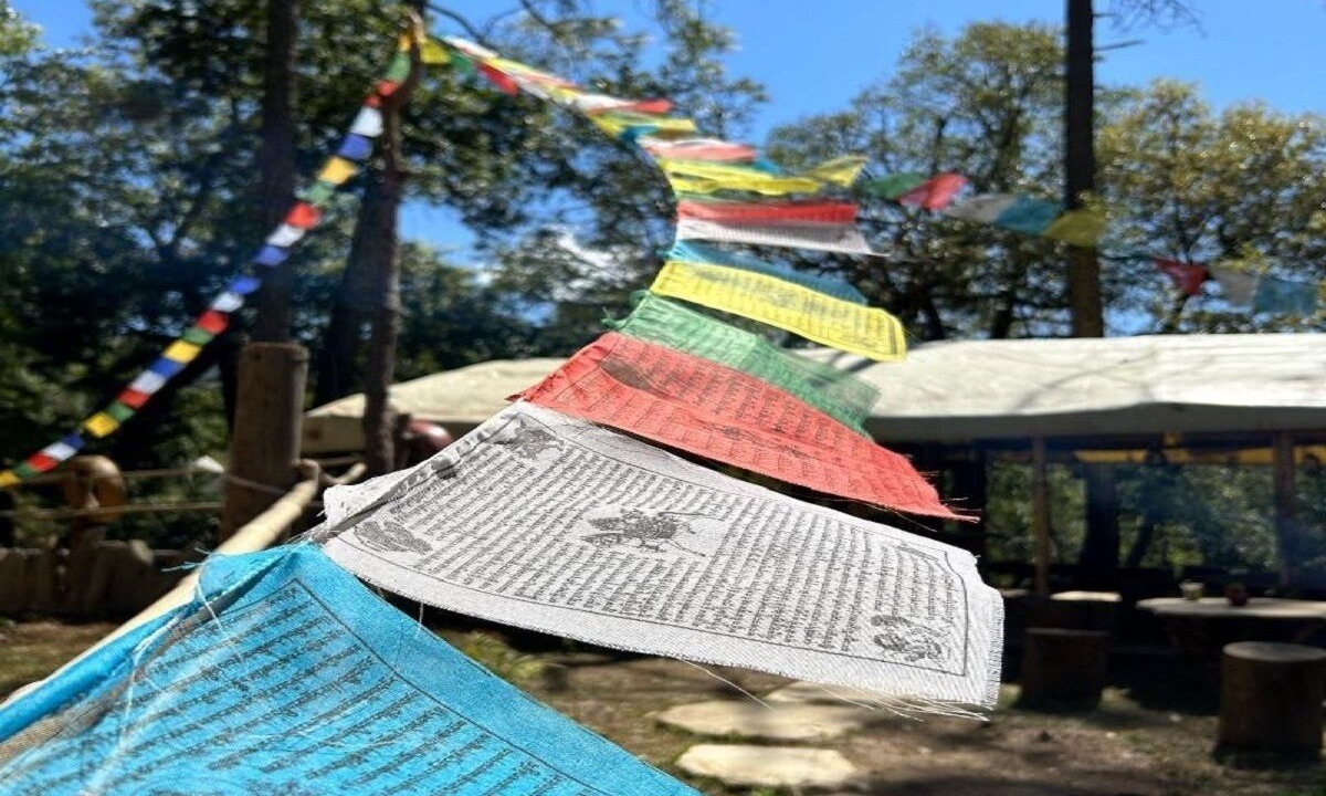 Photo of Outdoor in Kaul