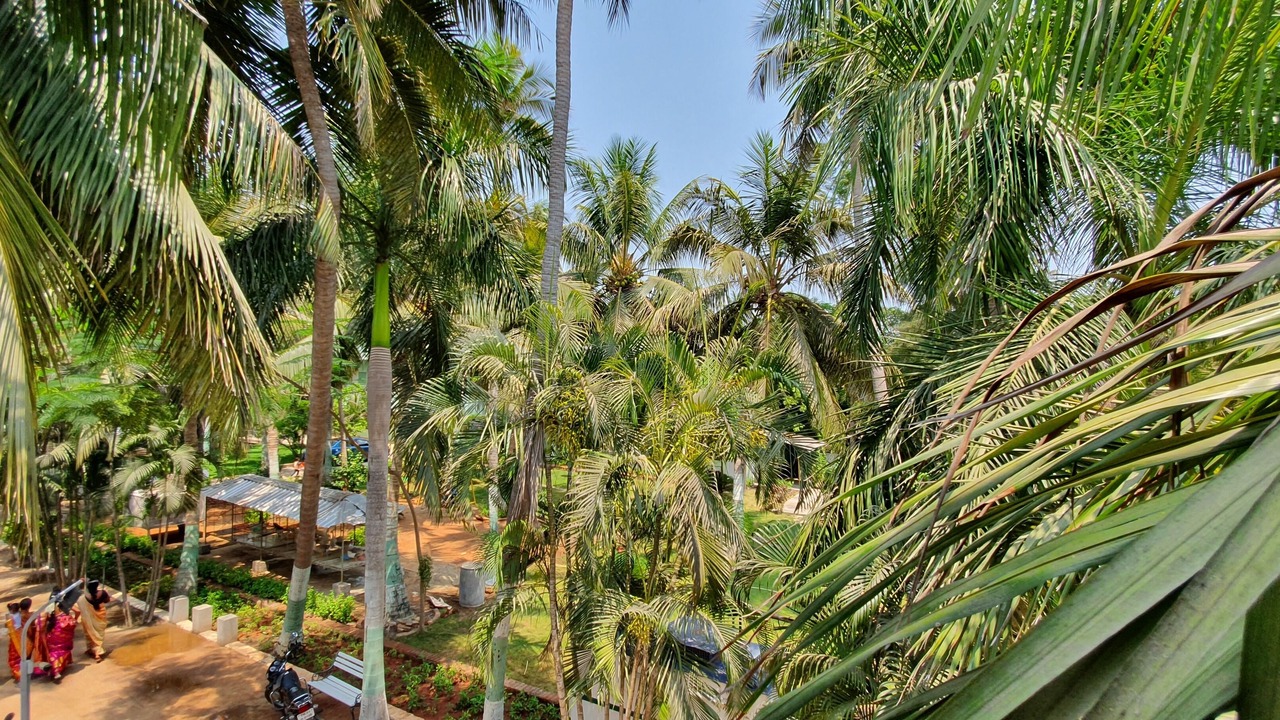 Photo of Outdoor in Karaikal