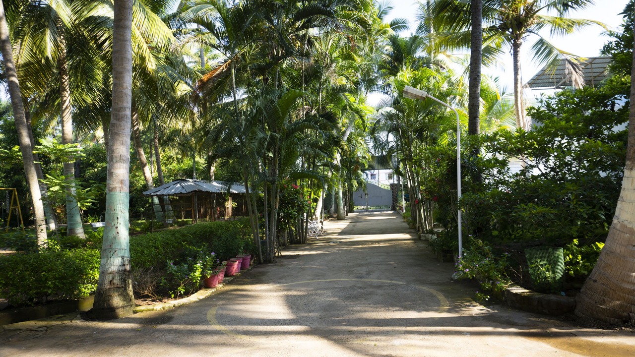 Photo of Outdoor in Karaikal