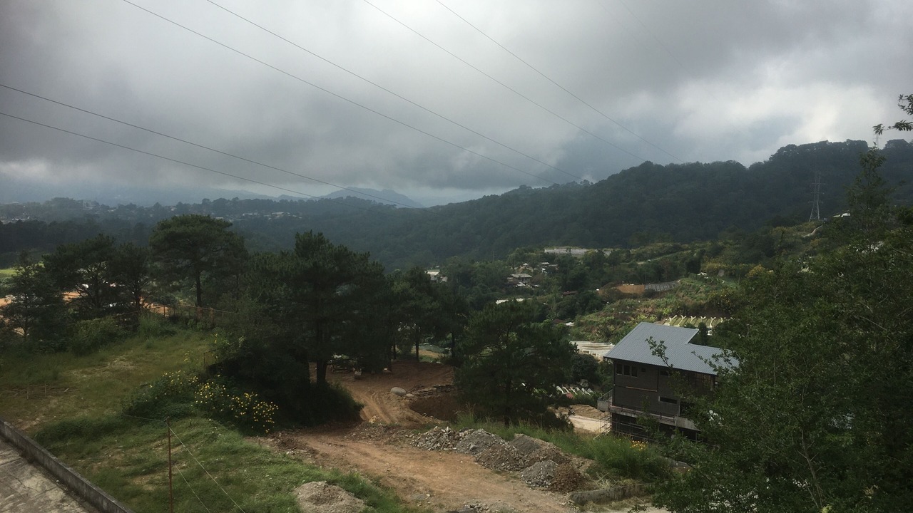Photo of Others in La Trinidad