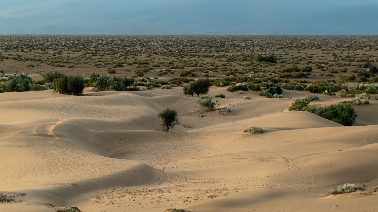 Photo of Livingroom in Khuri