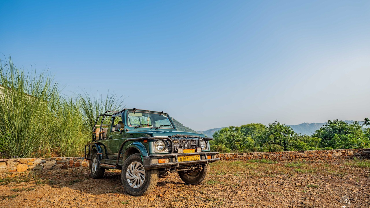 Photo of Outdoor in Sariska