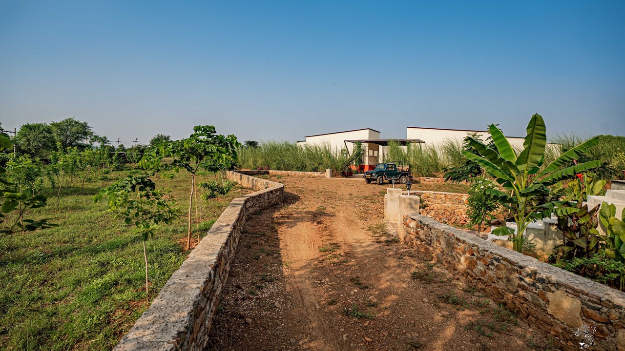 Photo of Outdoor in Sariska