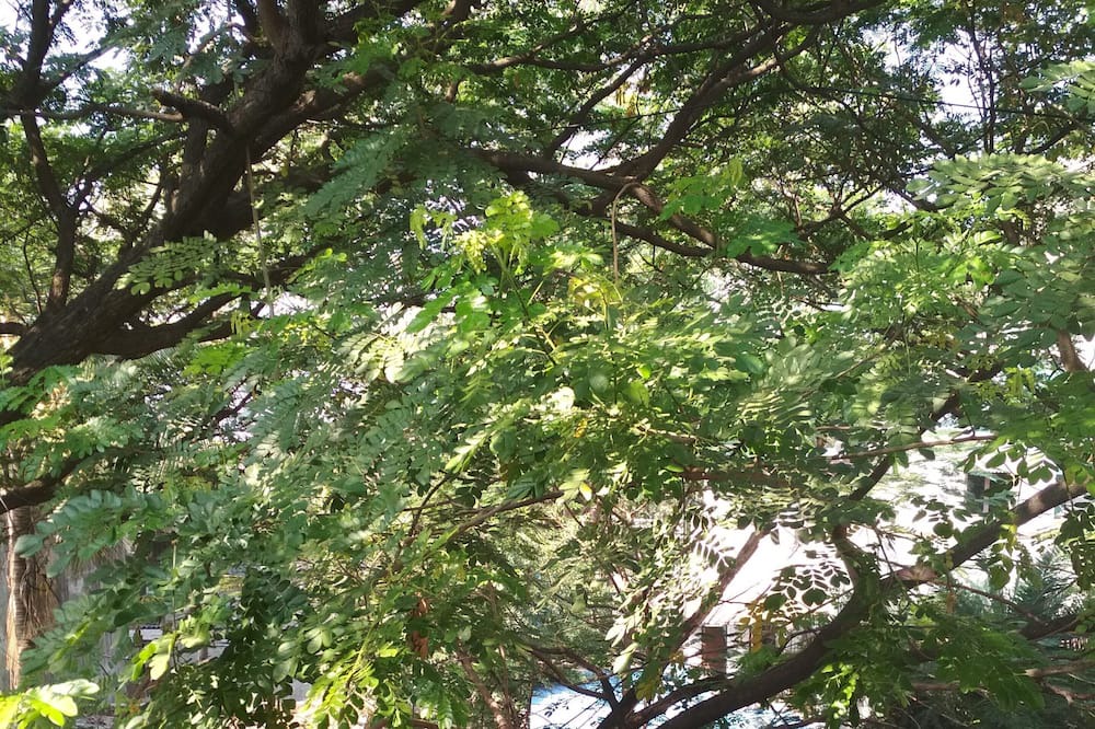 Photo of Outdoor in Chembur East