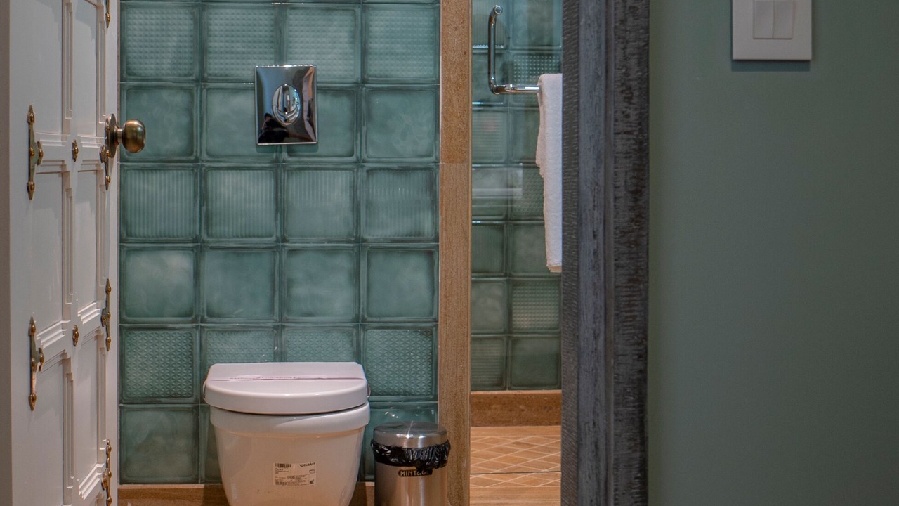 Photo of Bathroom in Shavri Colony
