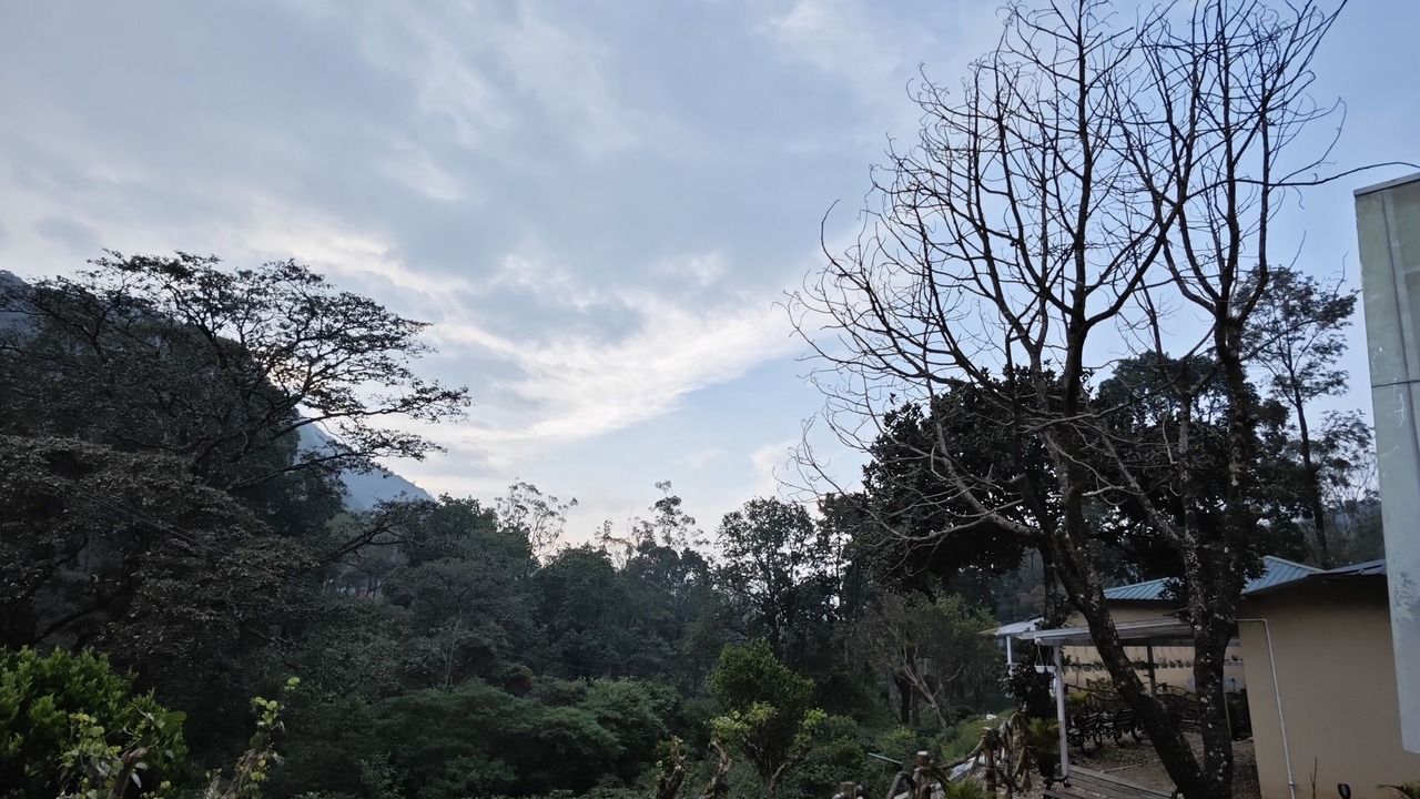 Photo of Outdoor in Valparai