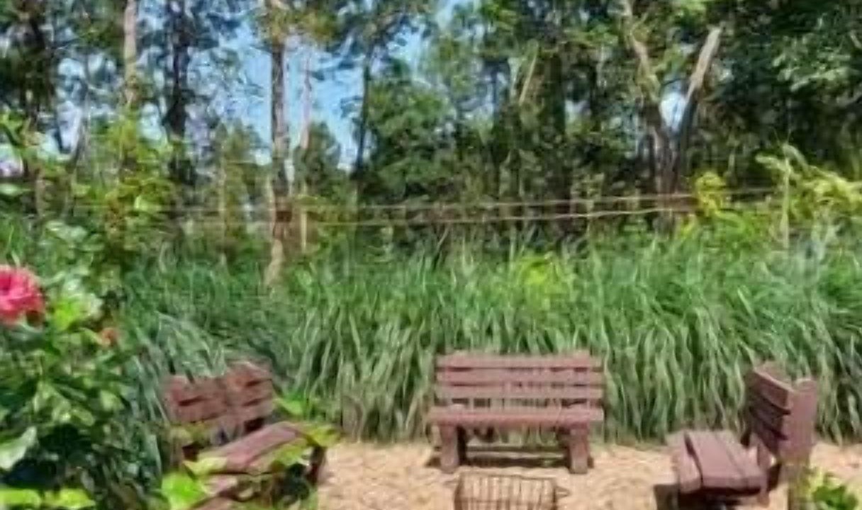 Photo of Outdoor in Baihar