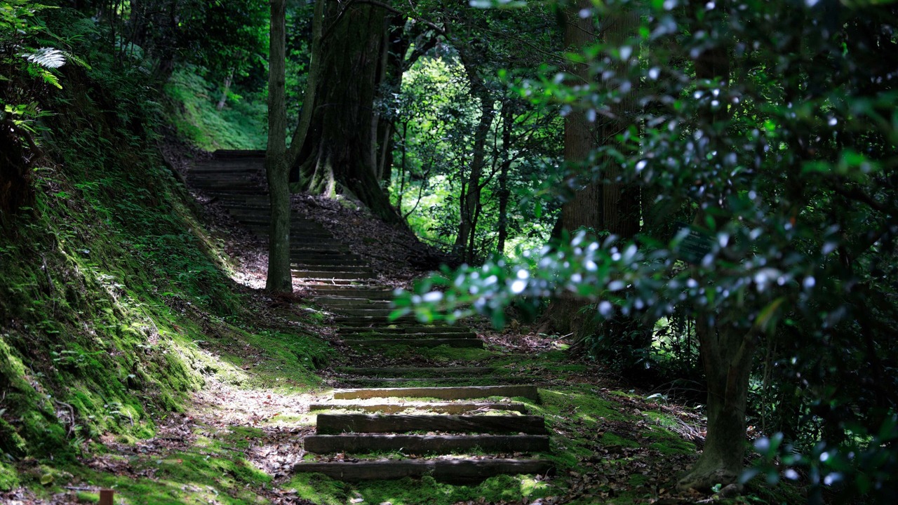 Photo of Outdoor in Okazaki