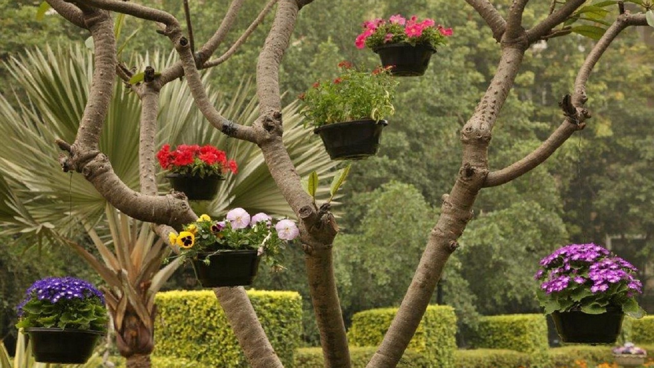 Photo of Outdoor in New Delhi