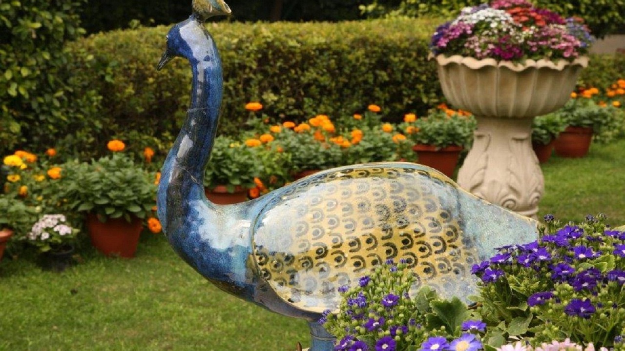 Photo of Outdoor in New Delhi