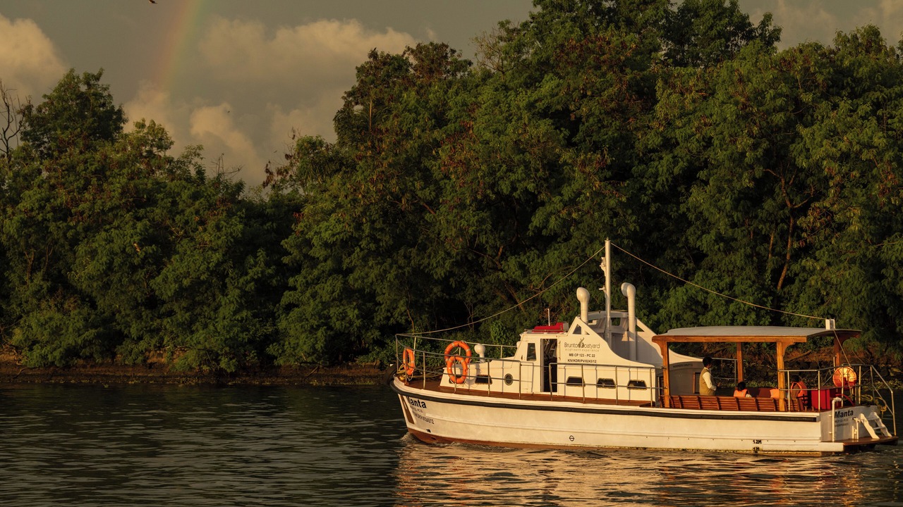 Photo of Others in Fort Kochi