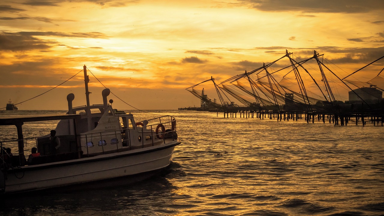 Photo of Others in Fort Kochi