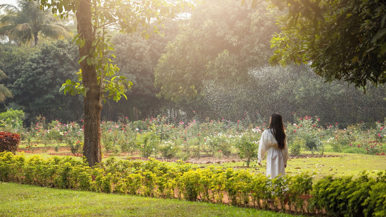 Photo of Outdoor in Jayadev Vihar