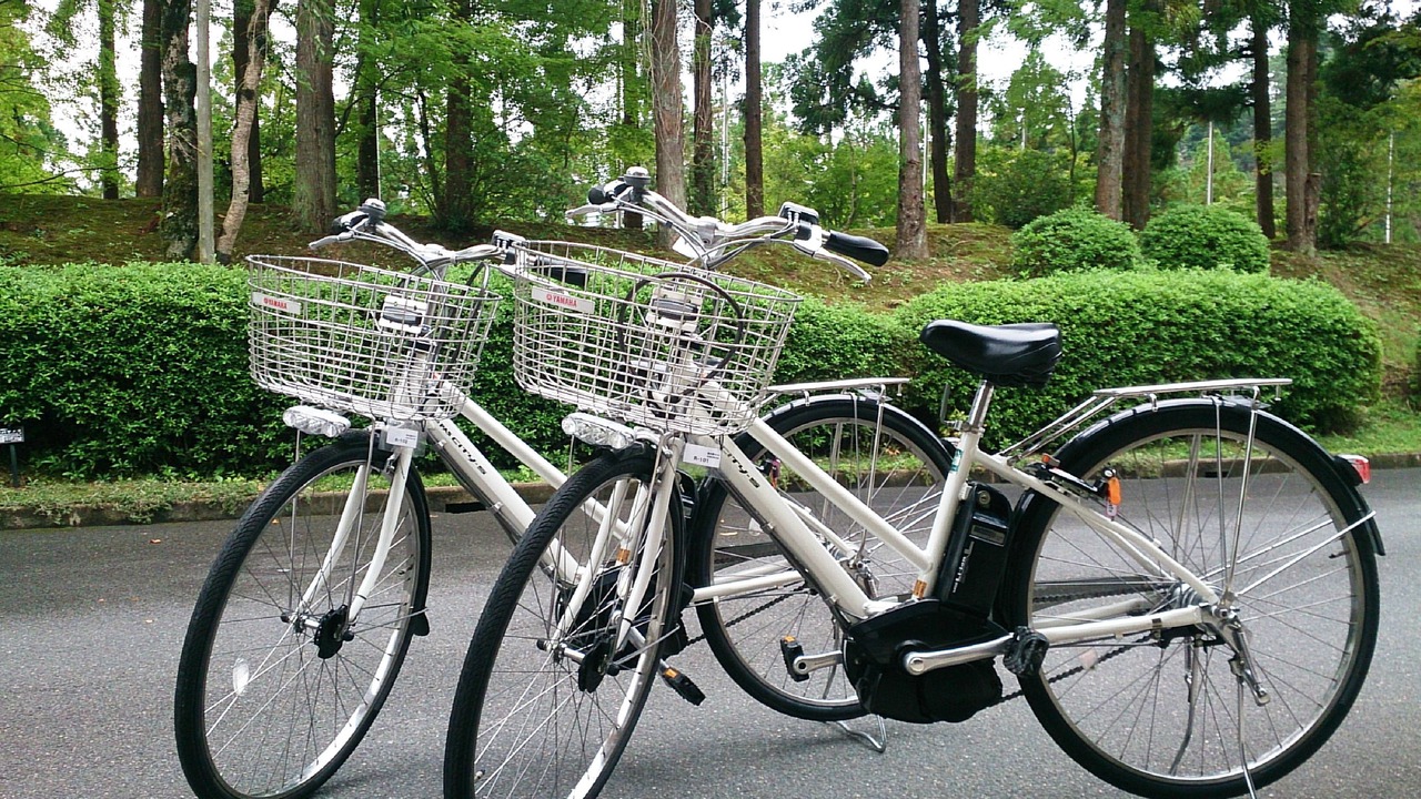 Photo of Outdoor in Sakyo Ward