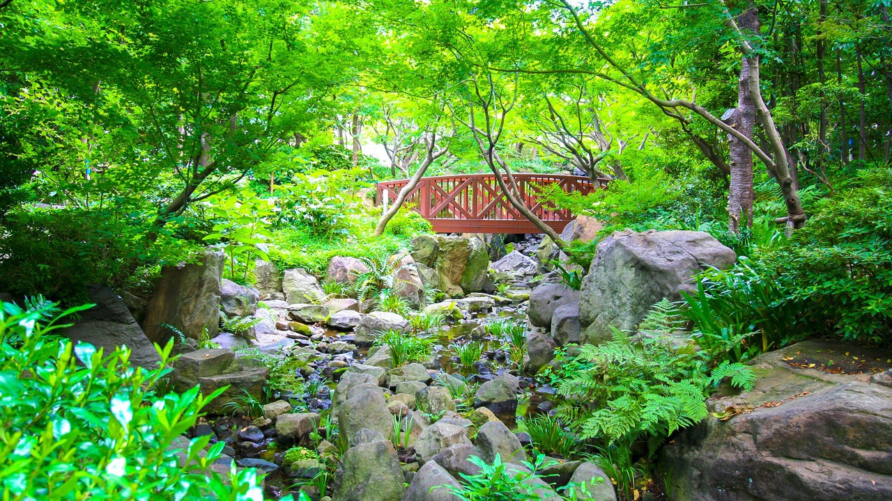 Photo of Outdoor in Kita