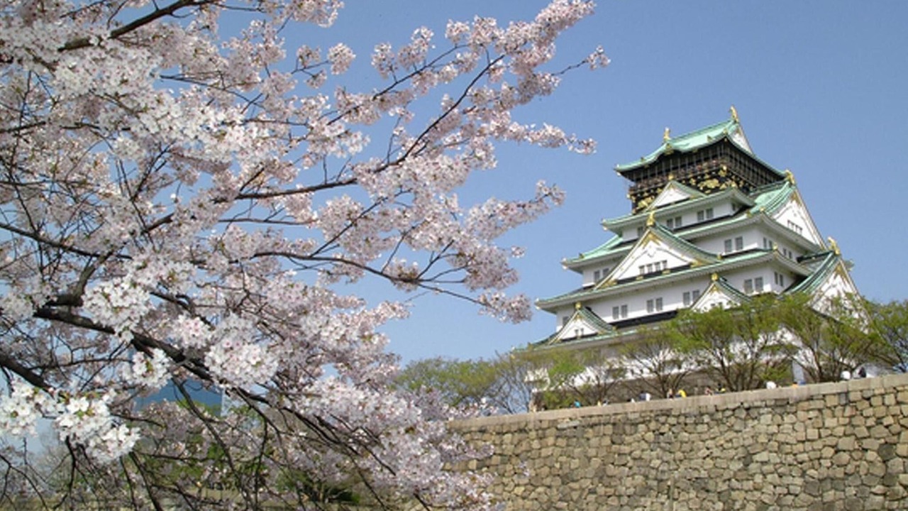Photo of Outdoor in Higashinari