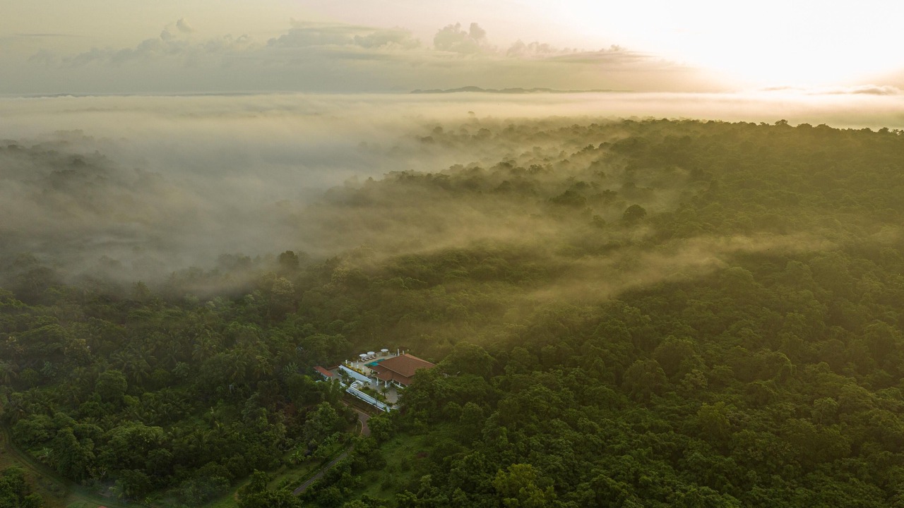 Photo of Outdoor in Aradi Socorro