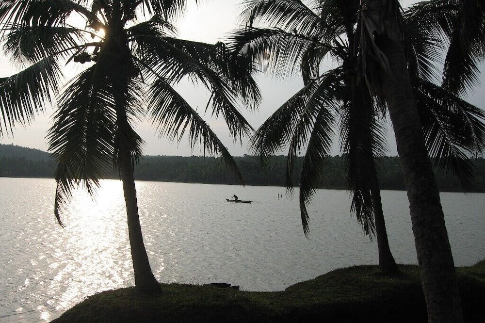 Photo of Outdoor in Venganoor