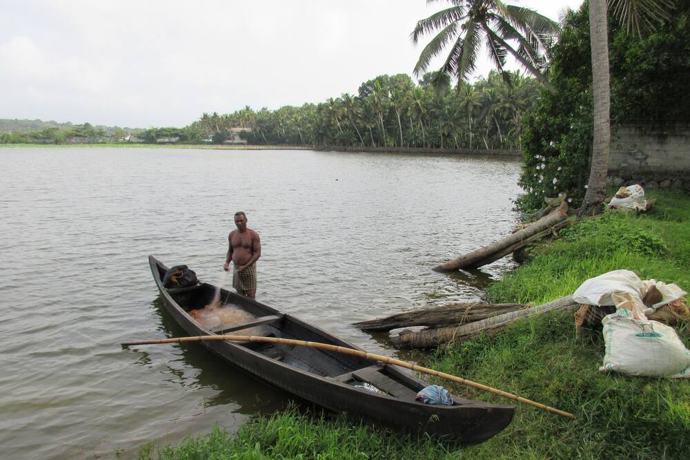 Photo of Outdoor in Venganoor