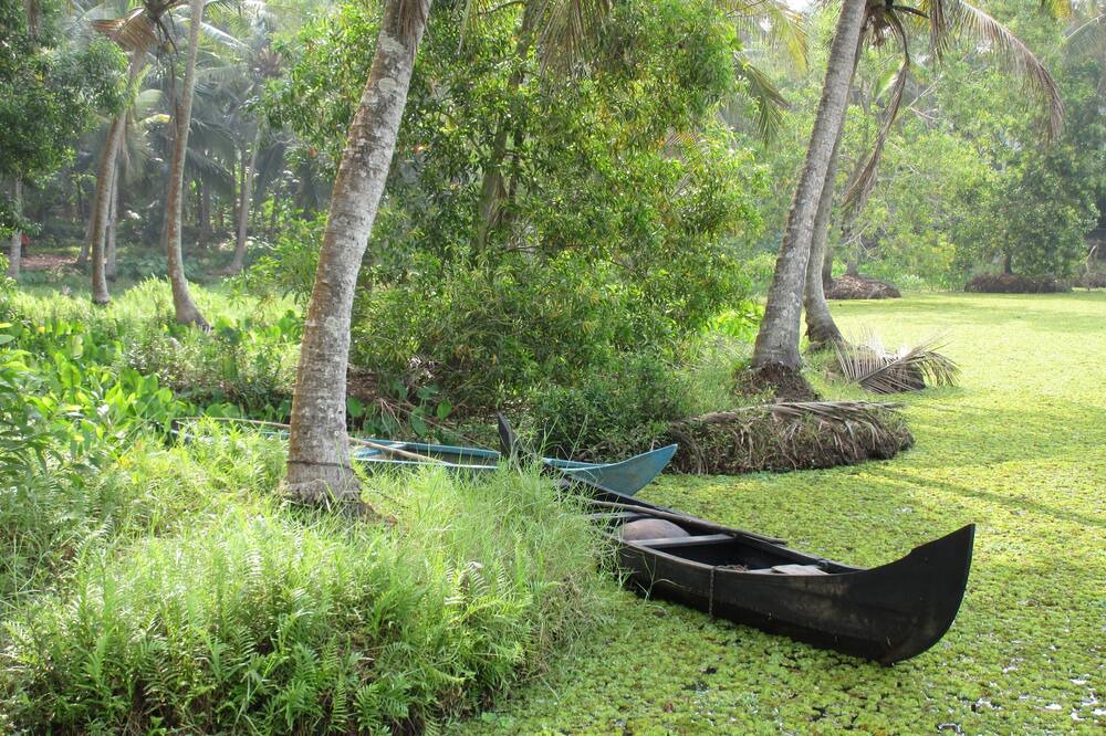 Photo of Outdoor in Venganoor