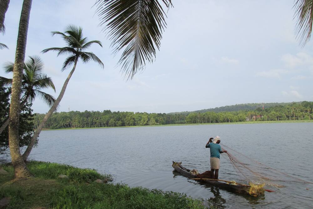 Photo of Outdoor in Venganoor