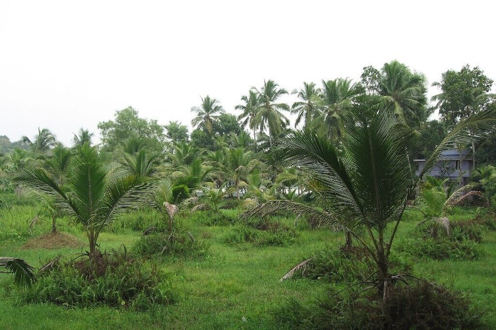 Photo of Outdoor in Venganoor