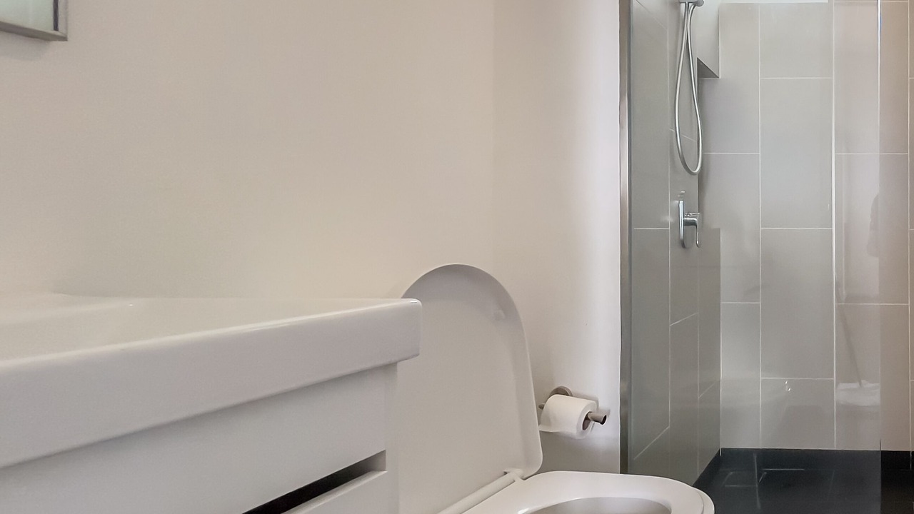 Photo of Bathroom in Maluri